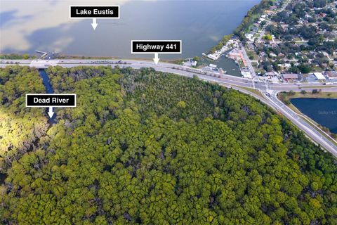 Tiny photo for 1006 W Burleigh Boulevard, Tavares, FL 32778 (MLS # G5103508)