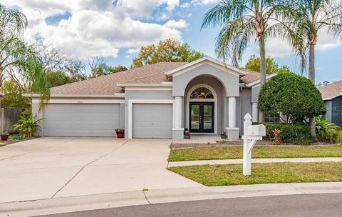 Photo of 4205 Mast Court, Land O Lakes, FL 34639 (MLS # S5152418)