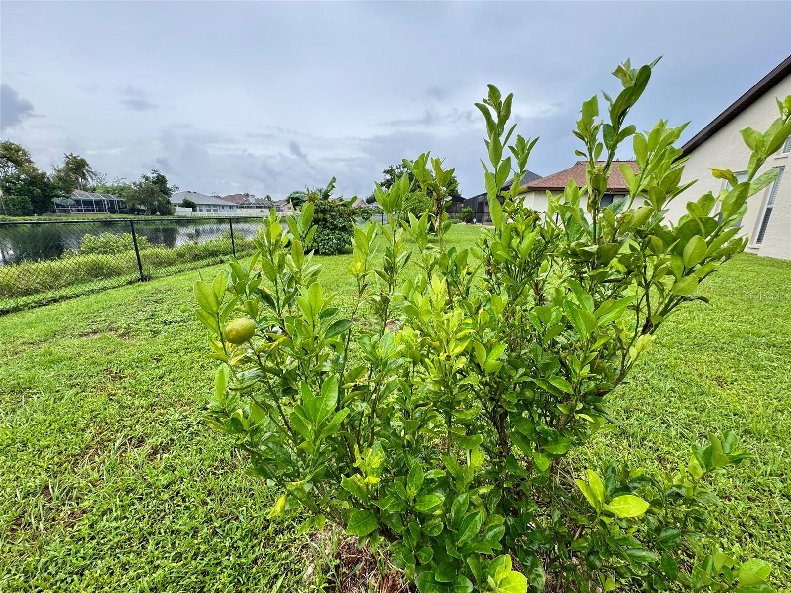 MANATEE OAKS III - Residential