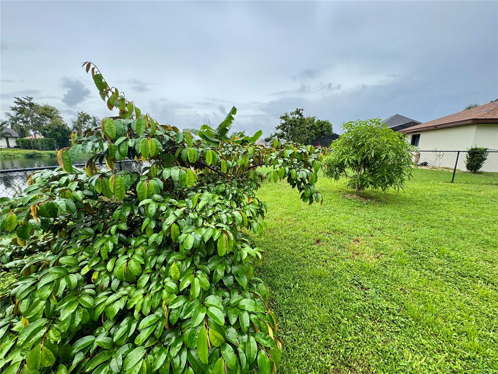 MANATEE OAKS III - Residential
