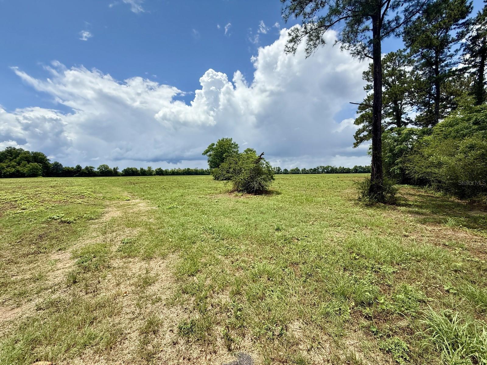 TYLER SANDERS ROAD