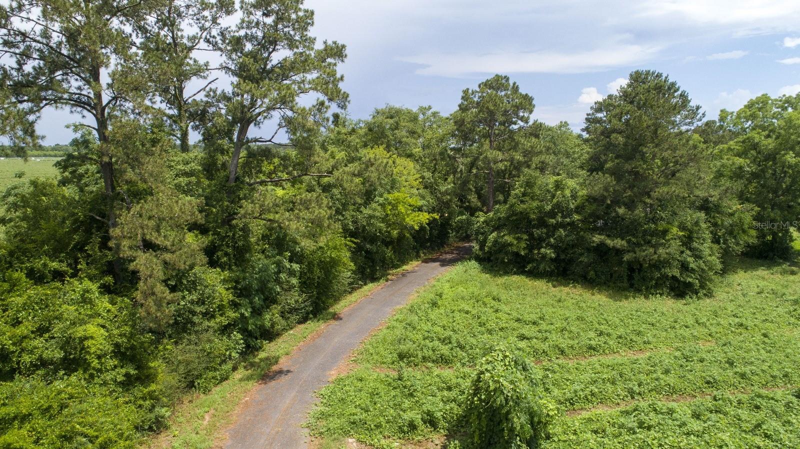 TYLER SANDERS ROAD