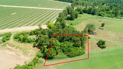 TYLER SANDERS ROAD QUINCY FL 32352