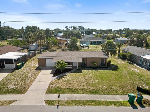 A home in PUNTA GORDA