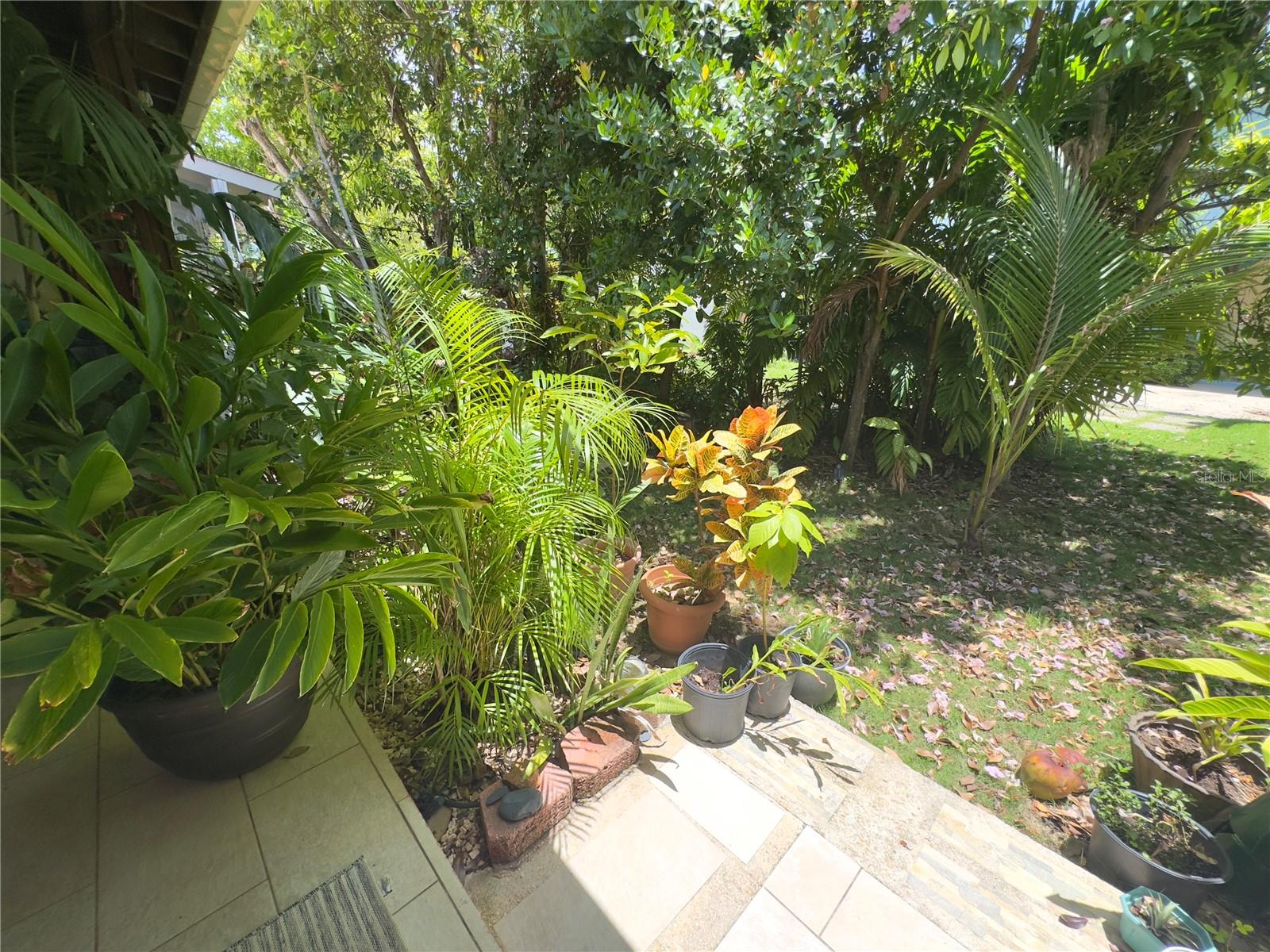 SOLIMAR - Residential