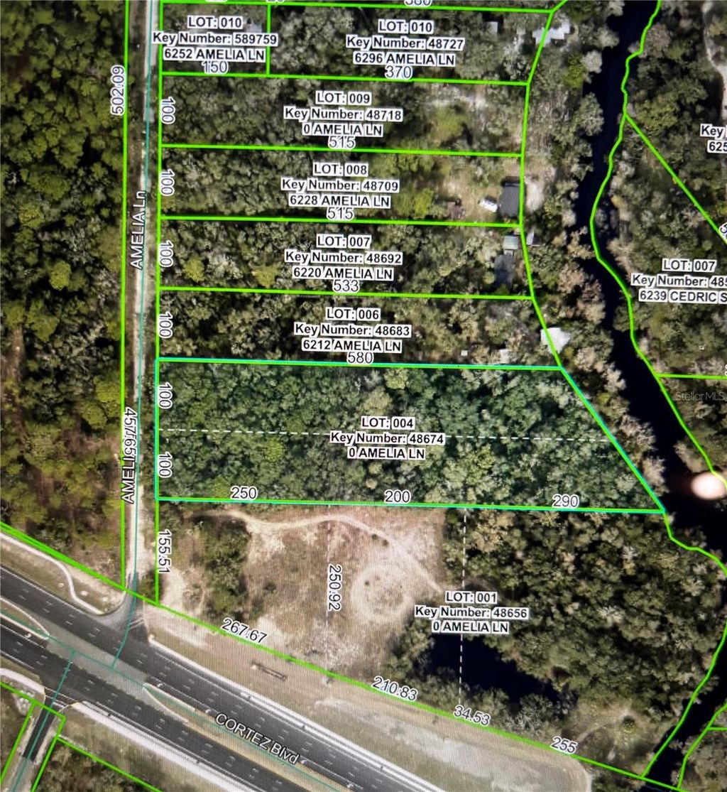 Photo of Amelia Lane, Dade City, FL 33523 (MLS # W7878996)
