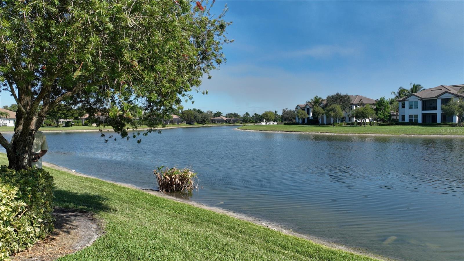 PLAYERS COVE AT LELY RESORT - Residential