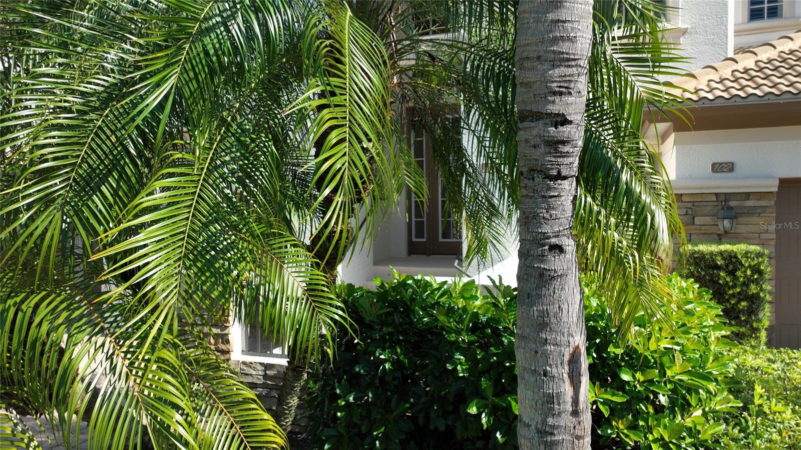 PLAYERS COVE AT LELY RESORT - Residential