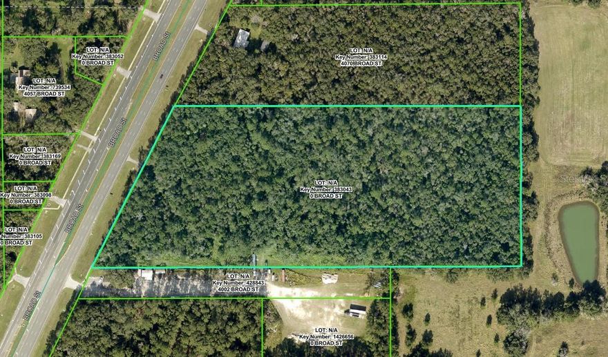 16.50 Acres MOL Zoned AG on Hwy 41 (Broad Street) just south on Powell Road.  Property is wooded and level and ready for development and is suited for Storage, Apartments, Trailer Parks, etc.  There is an old building on the property that has no value except Impact Fee Credit.