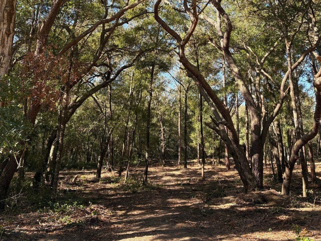 Photo of 10686 N Ocean Drive, Citrus Springs, FL 34434 (MLS # OM721449)