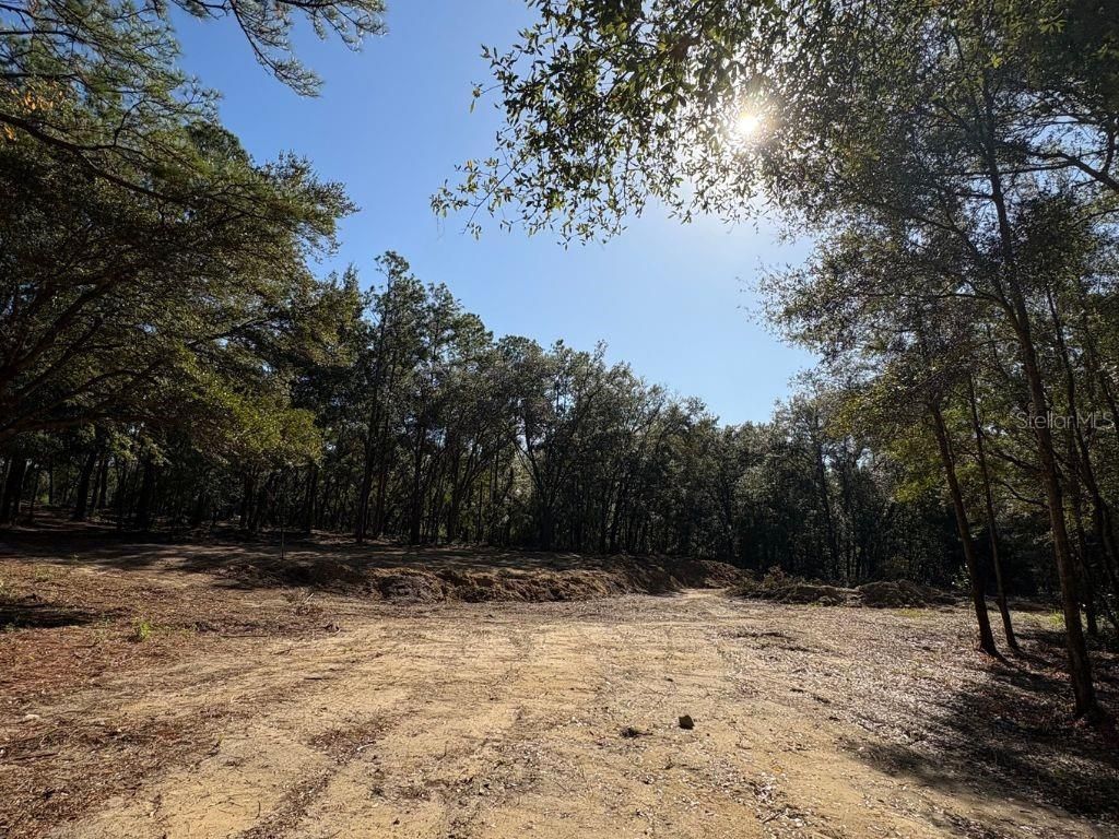 Photo of 10686 N Ocean Drive, Citrus Springs, FL 34434 (MLS # OM721449)