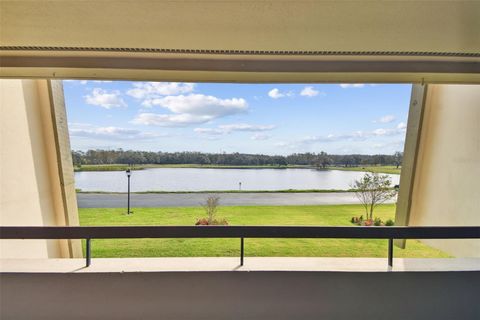 A home in PALM HARBOR