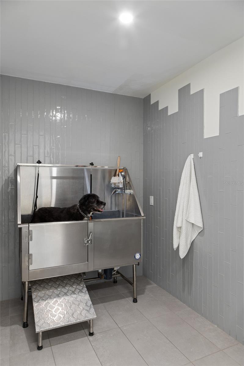 EVOLUTION - Residential Lease