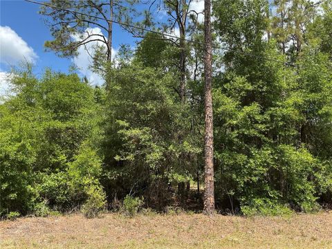 GUAVA PASS DRIVE OCKLAWAHA FL 32179