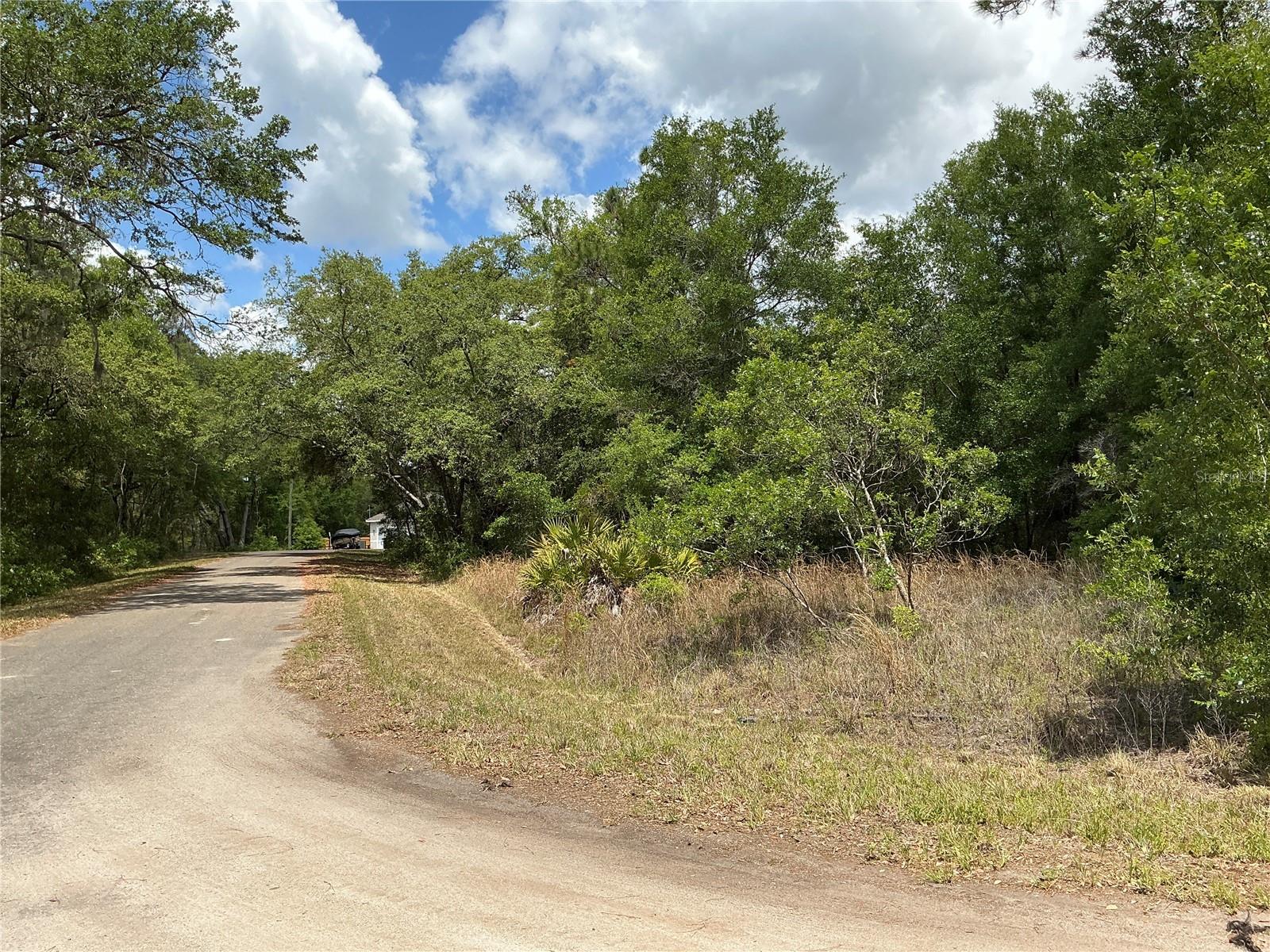 GUAVA PASS DRIVE