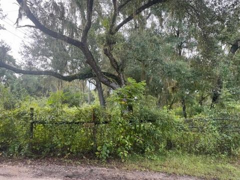 Photo of 104 Floradandy Road, Hawthorne, FL 32640 (MLS # GC540590)