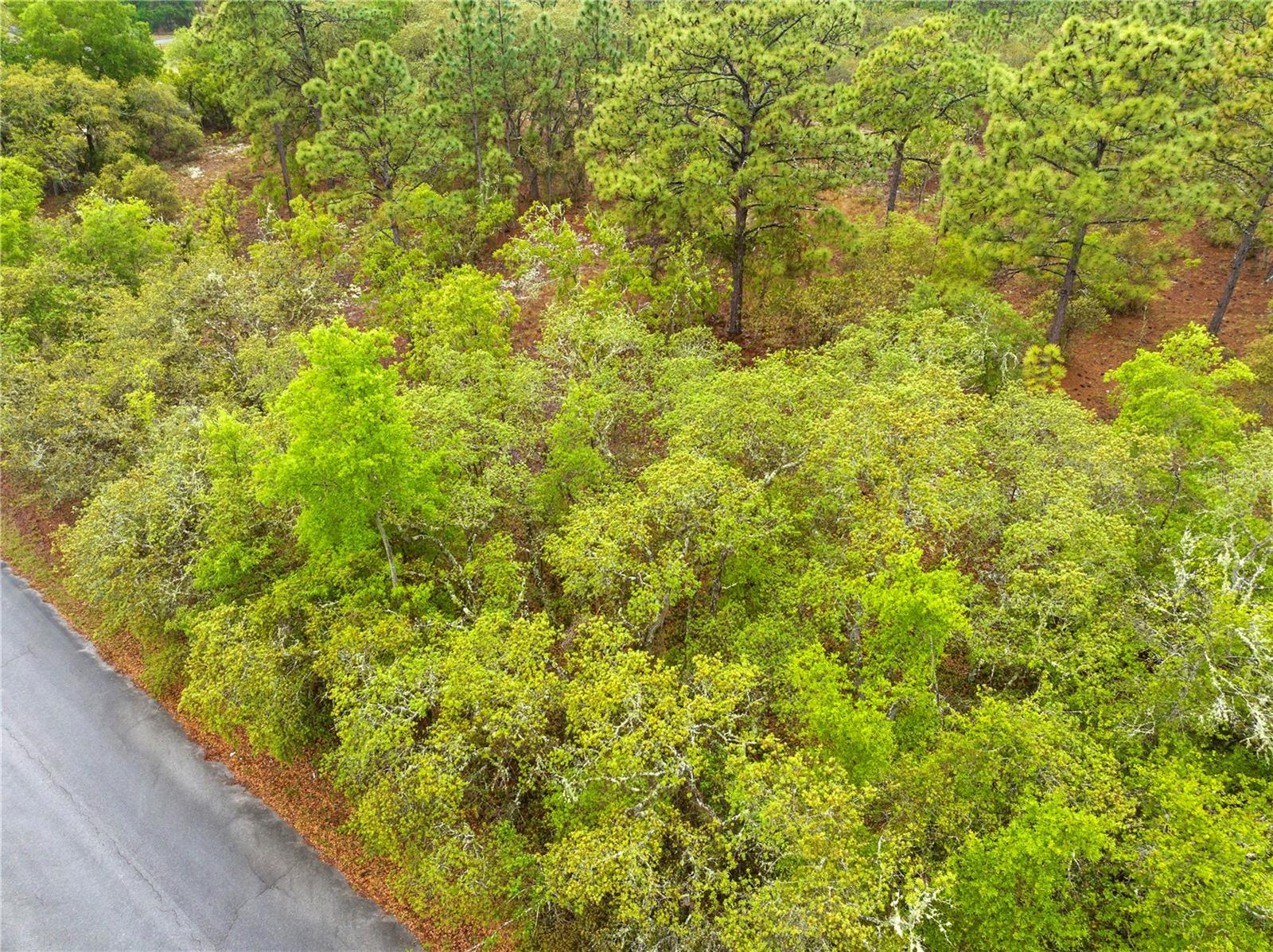 RAINBOW ACRES UN 04 - Land