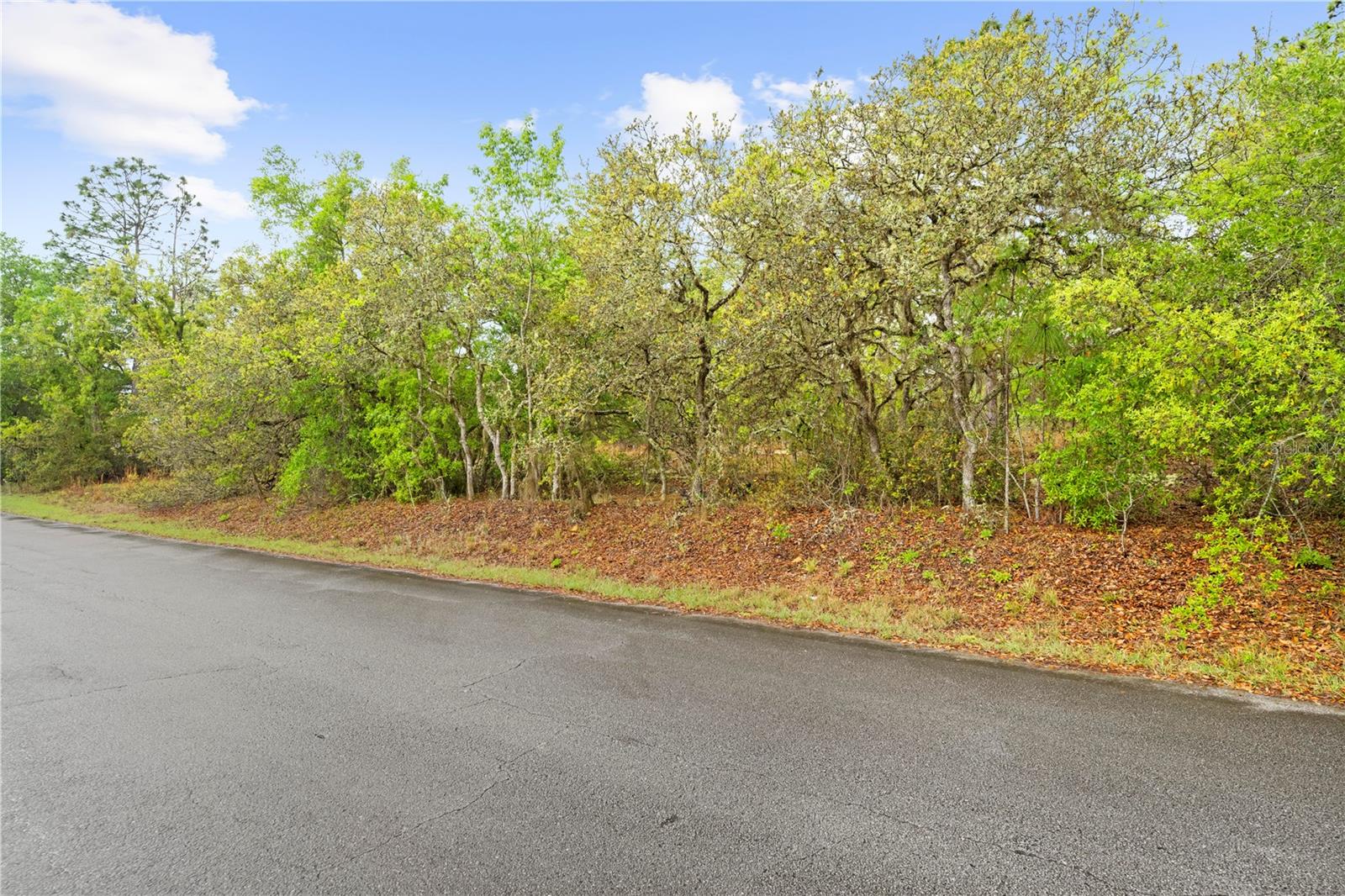 RAINBOW ACRES UN 04 - Land