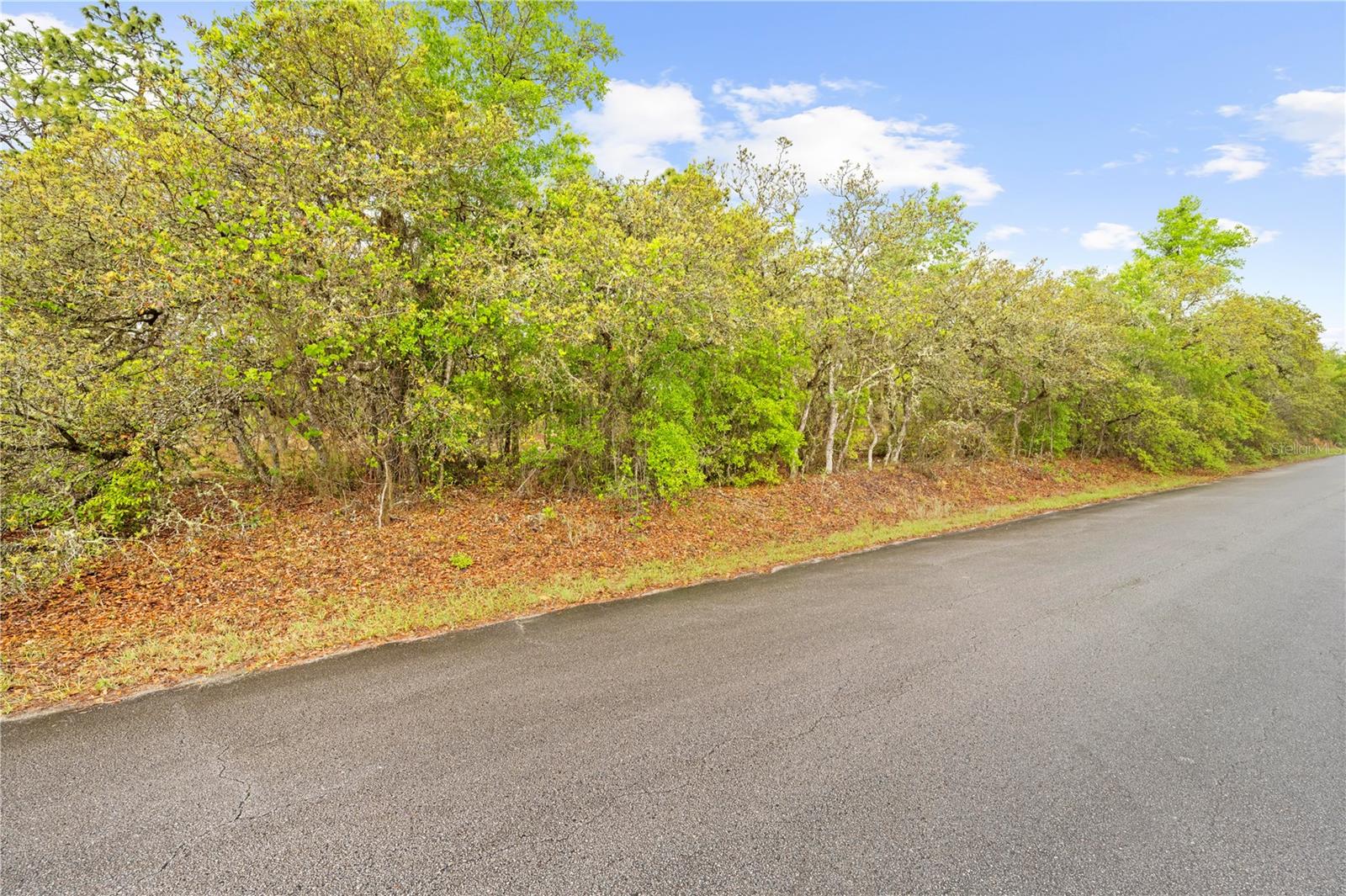 RAINBOW ACRES UN 04 - Land