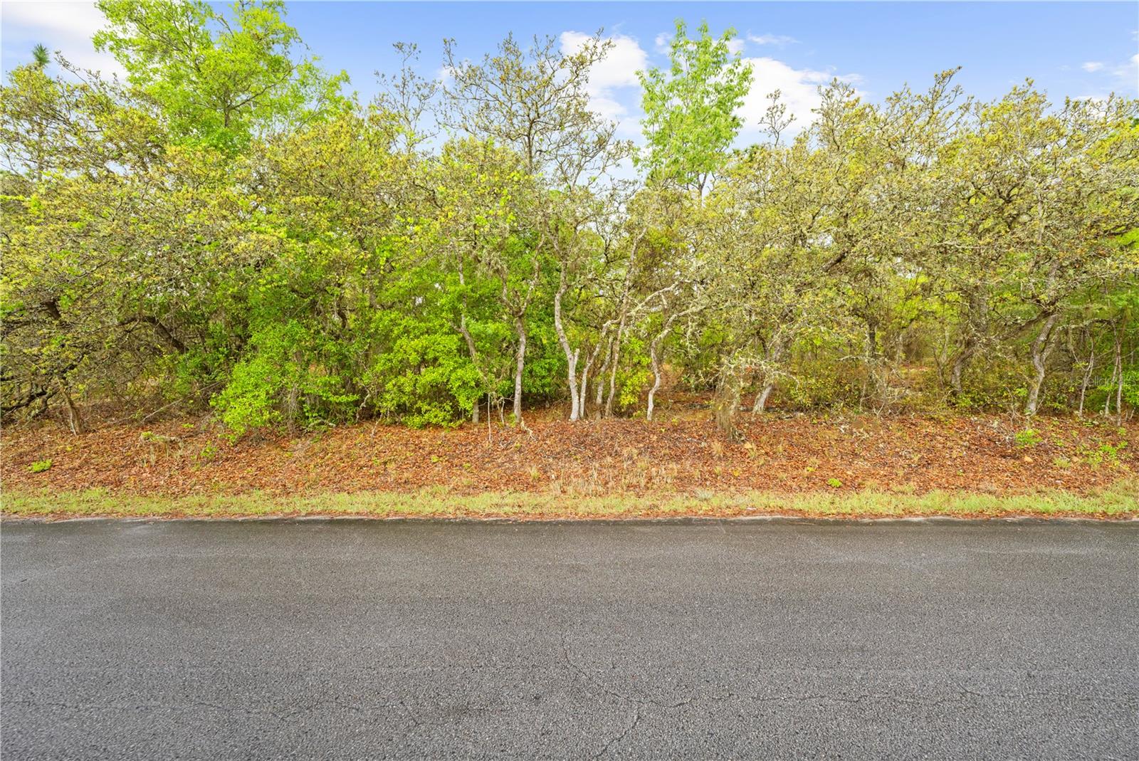 RAINBOW ACRES UN 04 - Land