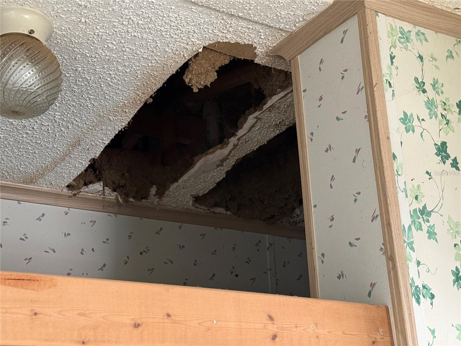 BELLEVIEW HEIGHTS ESTATE - Residential