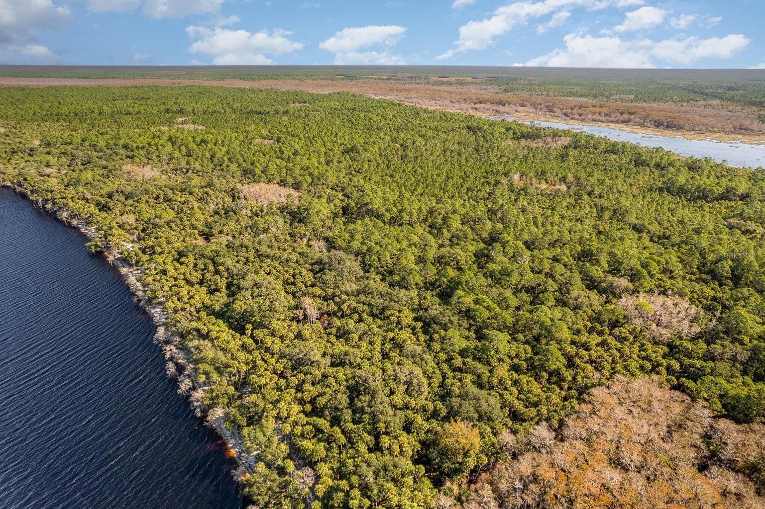 LAKE HARNEY WOODS PH 1 - Land