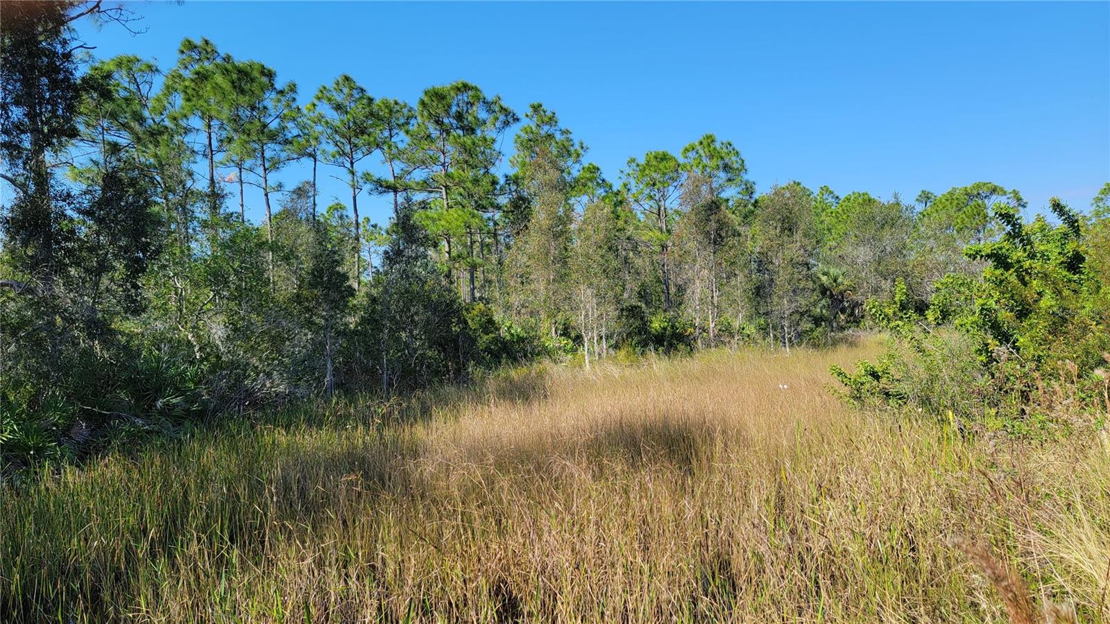 Over 5 acres to build your dream home, start a farm, let your buffalos roam or maybe all of the above! Easy access to Hwy 41 and I-75. Located between Punta Gorda and North Fort Myers in Charlotte County. Seller financing may be an option with significant down payment. Terms are negotiable. Bring your best offer!