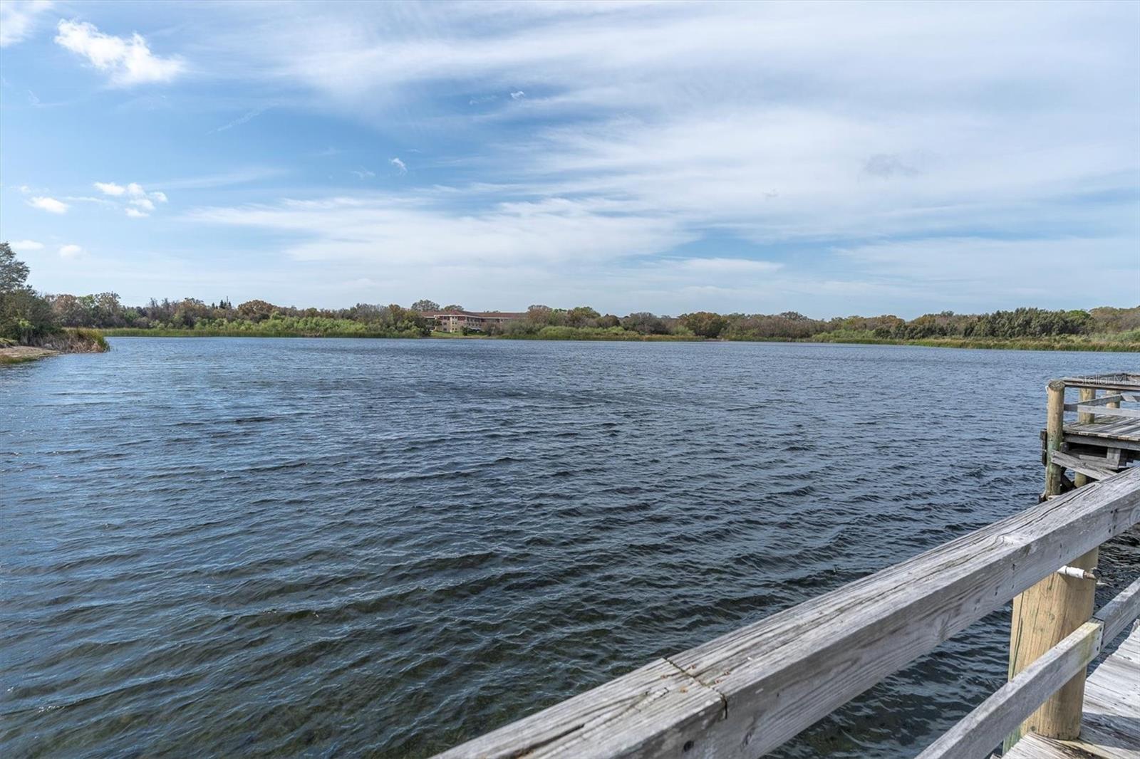 ON TOP OF THE WORLD - Residential Lease