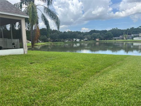 A home in WESLEY CHAPEL