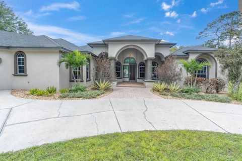 Photo of 7908 Lady Lake Lane, Odessa, FL 33556 (MLS # W7879324)