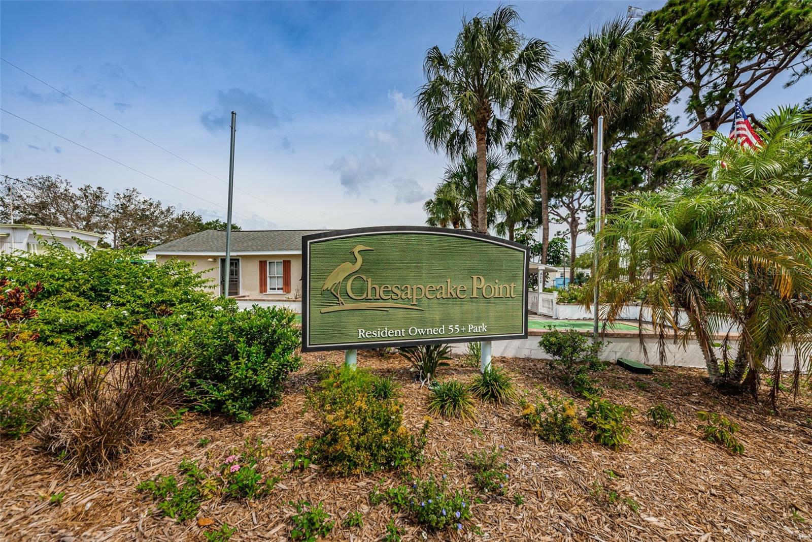 CHESAPEAKE POINT CO-OP INC UNREC - Land