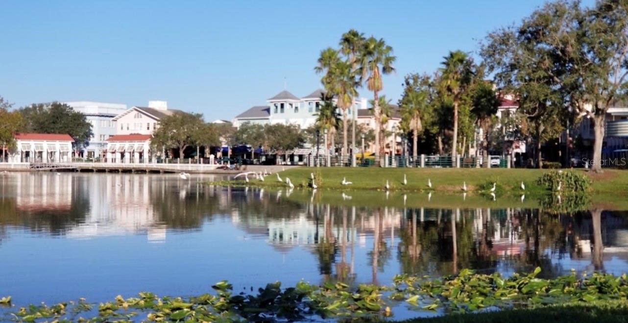 CELEBRATION EAST VILLAGE UNIT 3 - Residential Lease