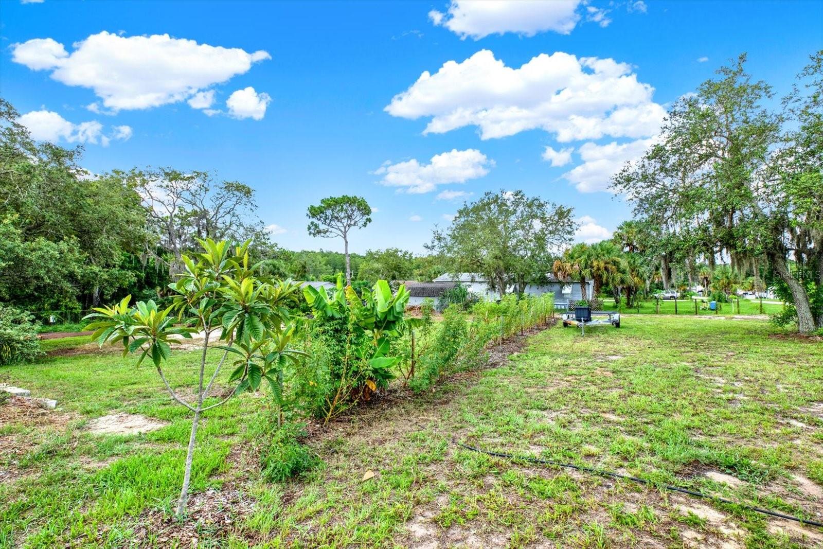 HOLIDAY ESTATES - Land