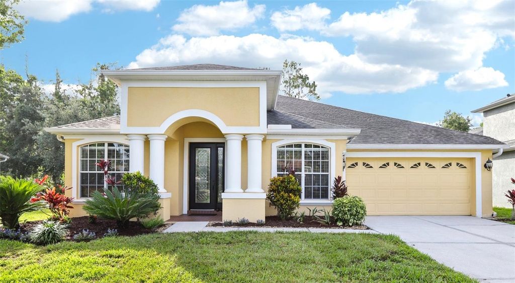 Photo of 27209 Firebush Drive, Wesley Chapel, FL 33544 (MLS # TB8393931)