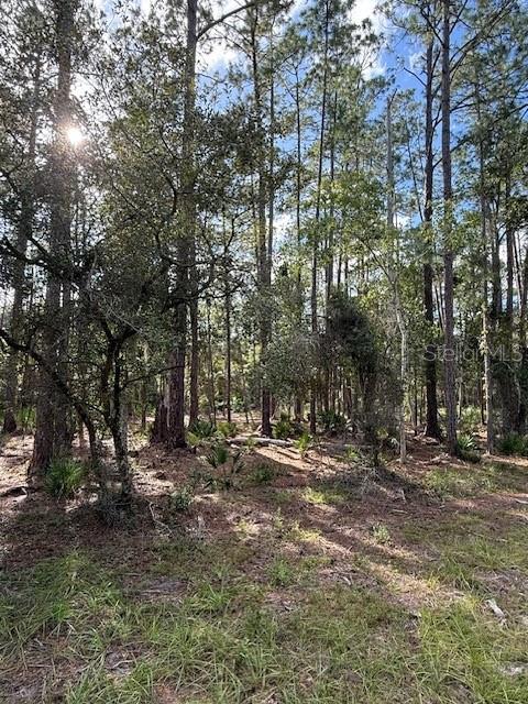 PLANTATION PINES II WHISPERING PINES SEC 2ND ADD - Land