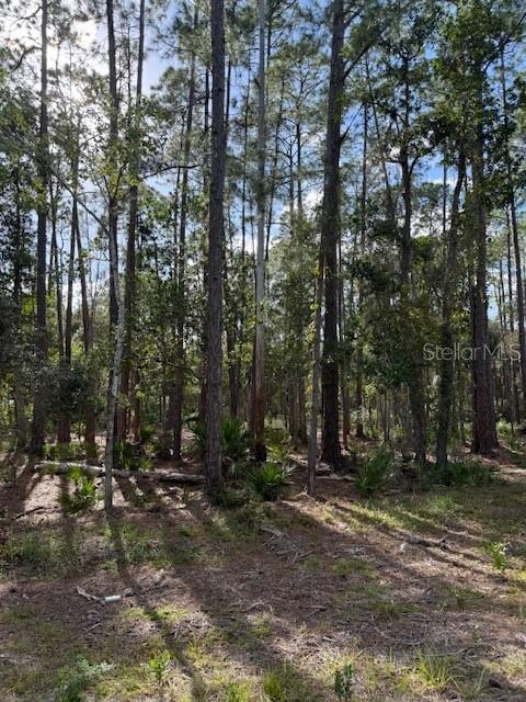 PLANTATION PINES II WHISPERING PINES SEC 2ND ADD - Land