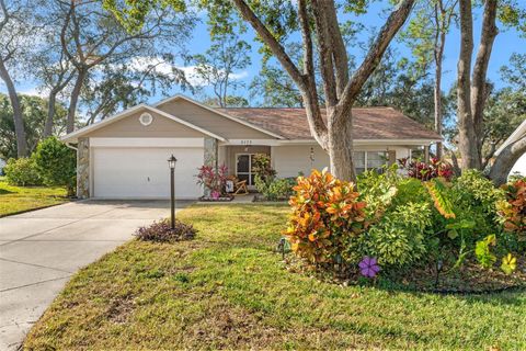 A home in SPRING HILL