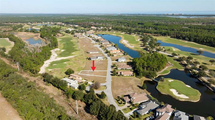Welcome to the Conservatory at Hammock Beach. An exceptional opportunity to a large golf-front lot in Palm Coast, ideally situated overlooking the 10th green of the signature Tom Watson designed golf course. This expansive homesite offers stunning fairway views, added privacy, and a picturesque setting for luxury living.

Design and build your dream home on this remarkable property with your choice of seven approved custom home builders, allowing you to create a residence perfectly suited to your lifestyle and vision. This lot provides the space and flexibility to bring it to life just the way you want.

Enjoy peaceful golf course views, beautiful sunsets, and the prestige of living on one of Palm Coast’s most renowned courses just minutes from beaches, shopping, dining, and everyday conveniences. 

Property Highlights:
One of the larger lots available in the community
Direct views of the 10th green
Signature Tom Watson–designed golf course
Prime Palm Coast location

A rare chance to secure a premium golf-front homesite in an exceptional setting 326 Hibiscus Way is ready for your vision.