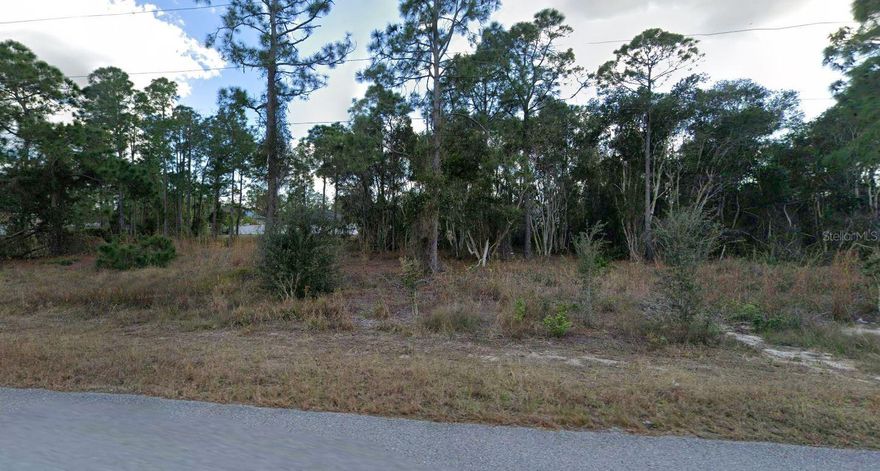 Residential lot for sale with 10.999 Sq Ft  suitable for build your dream home.