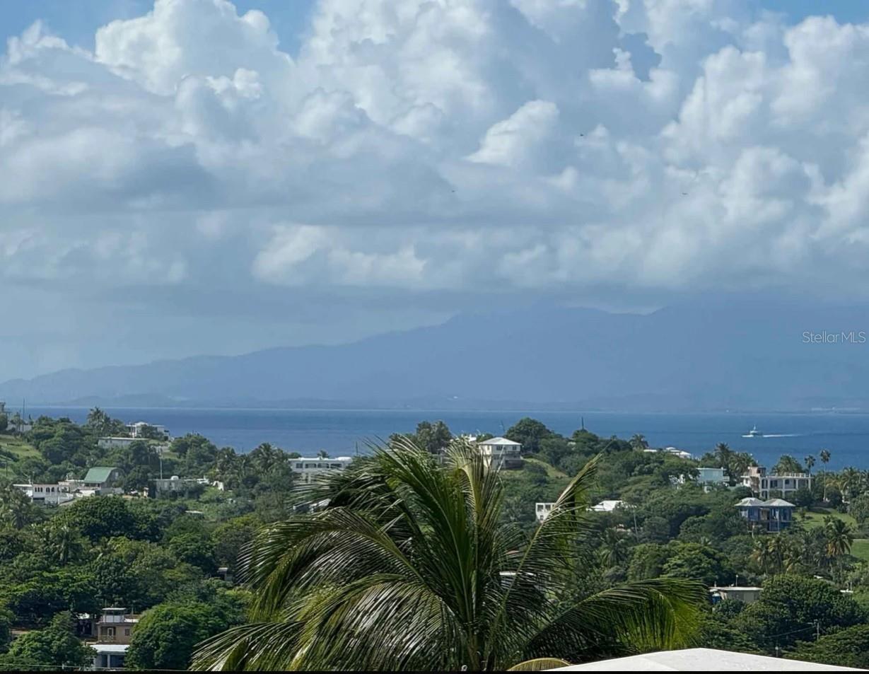 653 CALLE BASTIMIENTO