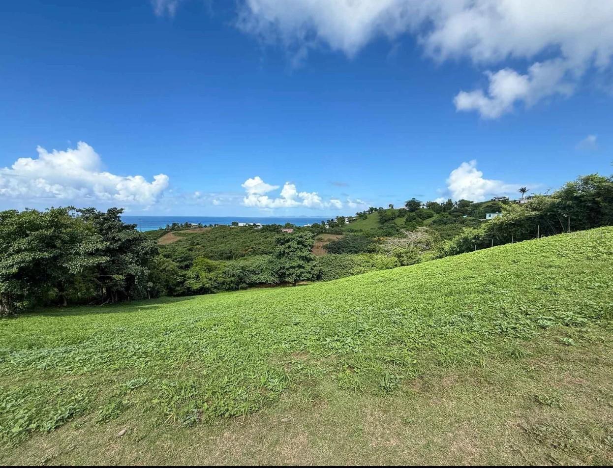 653 CALLE BASTIMIENTO