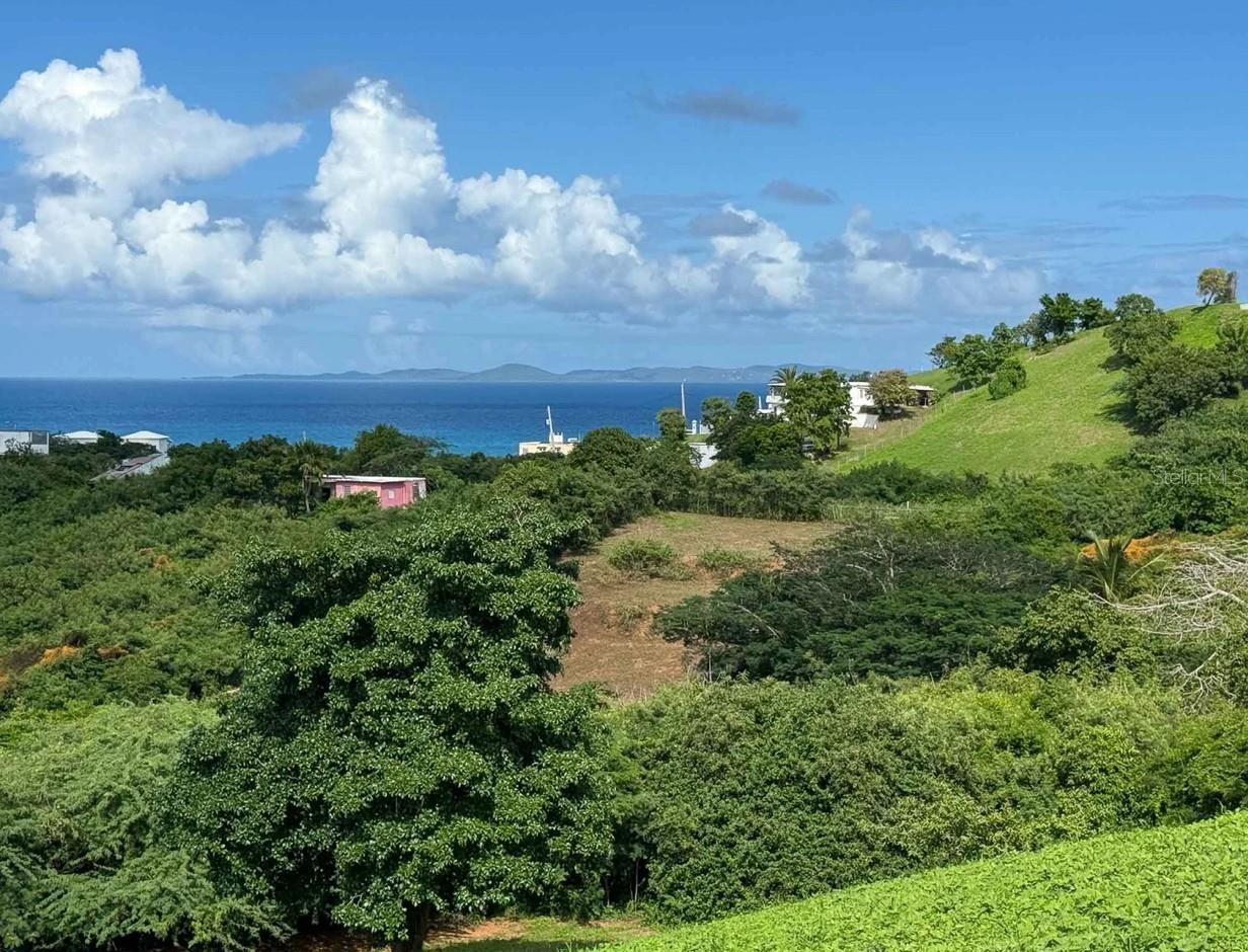 653 CALLE BASTIMIENTO