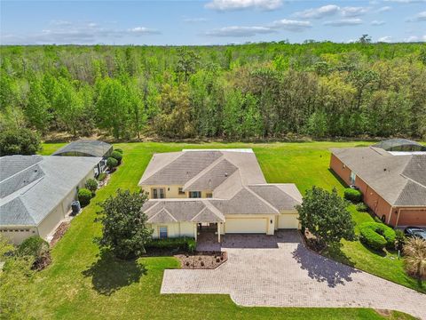 Photo of 917 Shorehaven Dr, Poinciana, FL 34759 (MLS # S5145514)