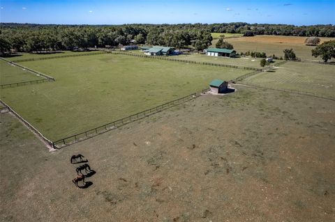 Tiny photo for 20221 SW 5th Place, Dunnellon, FL 34431 (MLS # OM712308)