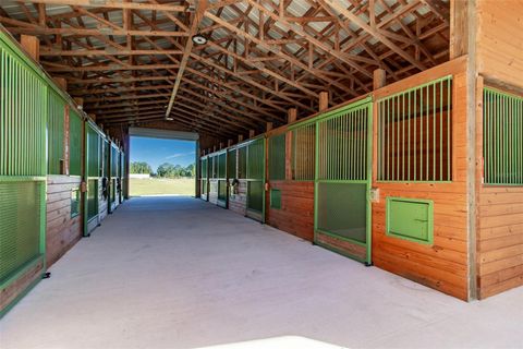 Tiny photo for 20221 SW 5th Place, Dunnellon, FL 34431 (MLS # OM712308)