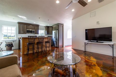 Tiny photo for 20221 SW 5th Place, Dunnellon, FL 34431 (MLS # OM712308)