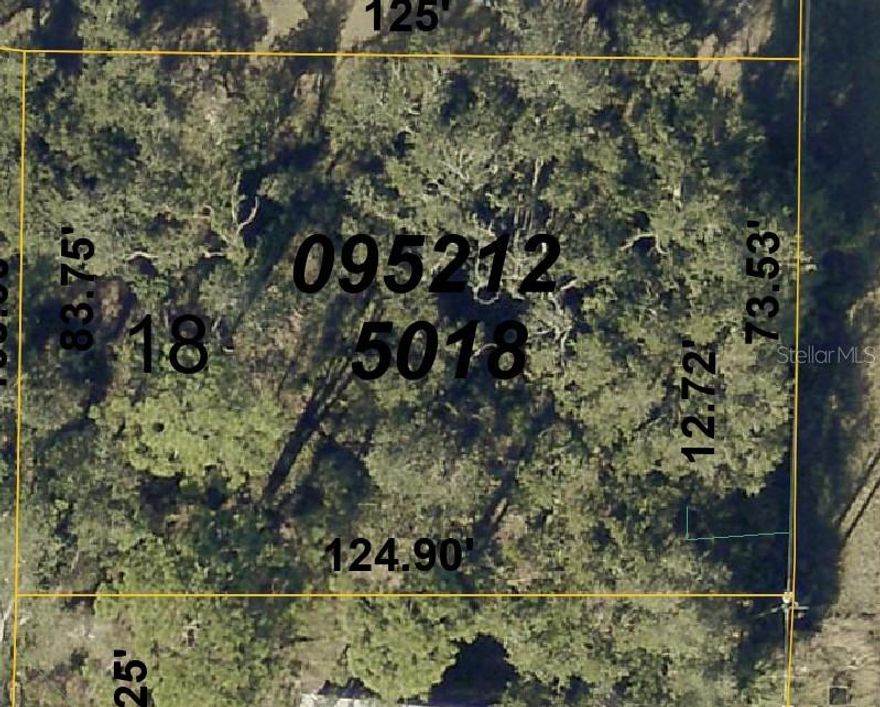 Take advantage of the growth happening in this rapidly developing neighborhood! This lot is free of scrub jay restrictions, HOA fees, and flood zone concerns. Conveniently located near I-75 for easy access to shopping, dining, and Florida’s beautiful beaches—yet tucked far enough away to enjoy peace and quiet.