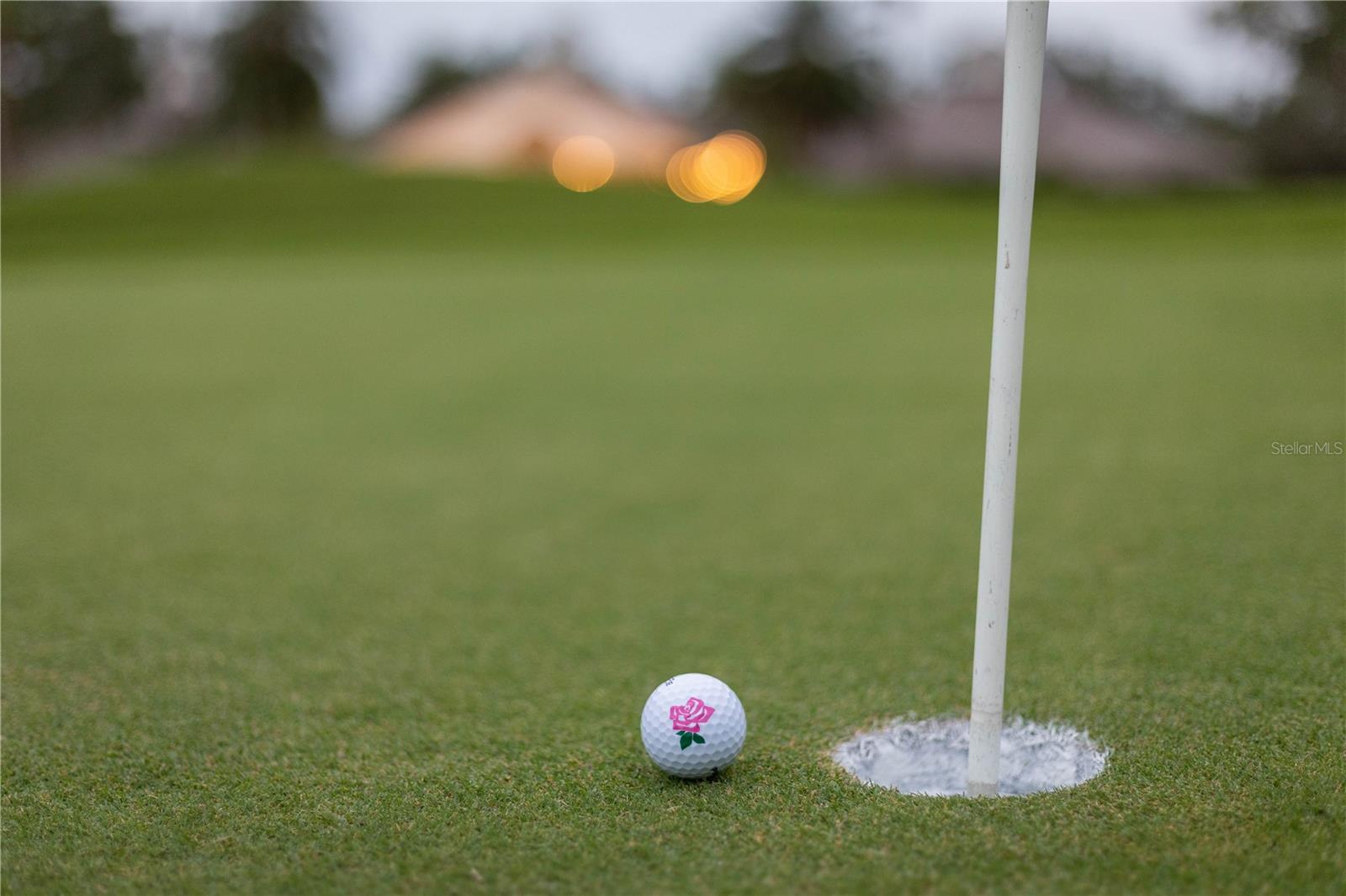 ROSEDALE ADD PH II - Residential