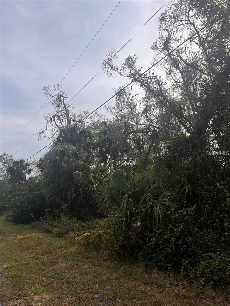 FIREBRAND ROAD, NORTH PORT, FL, 34288 2 FIREBRAND ROAD
