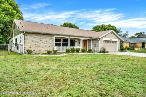 A home in SPRING HILL